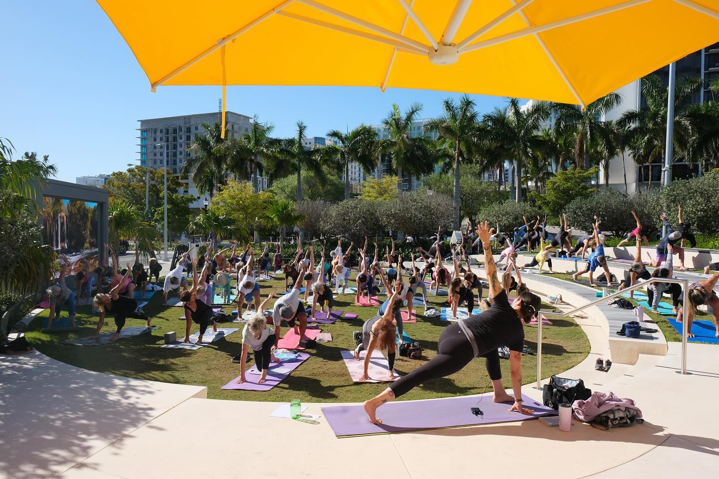 Experience tranquility and wellness with Yoga at The Bay, amidst the picturesque backdrop of Sarasota's Bay Park.