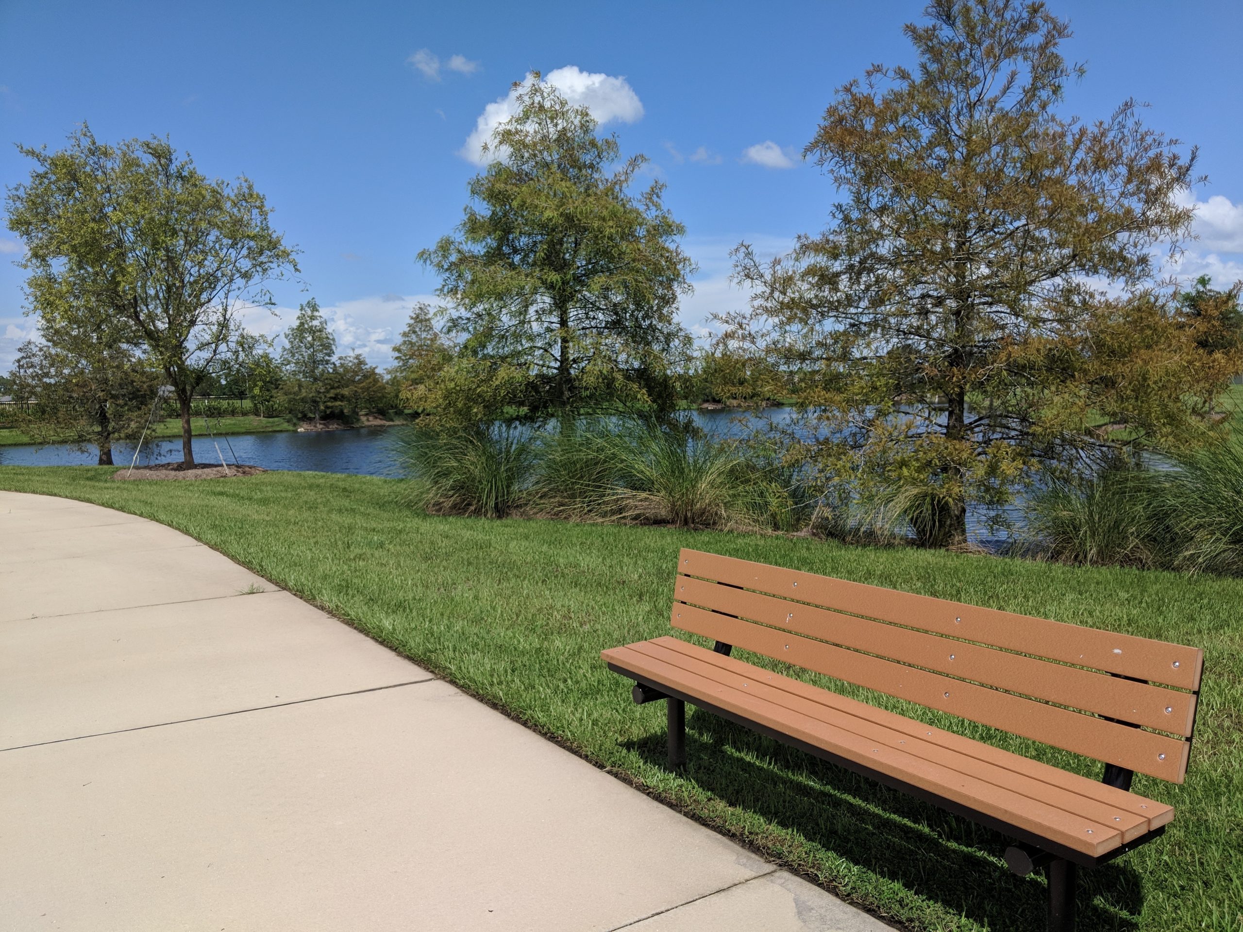 Bob Gardner Community Park: A Space for Creativity and Community in Lakewood Ranch