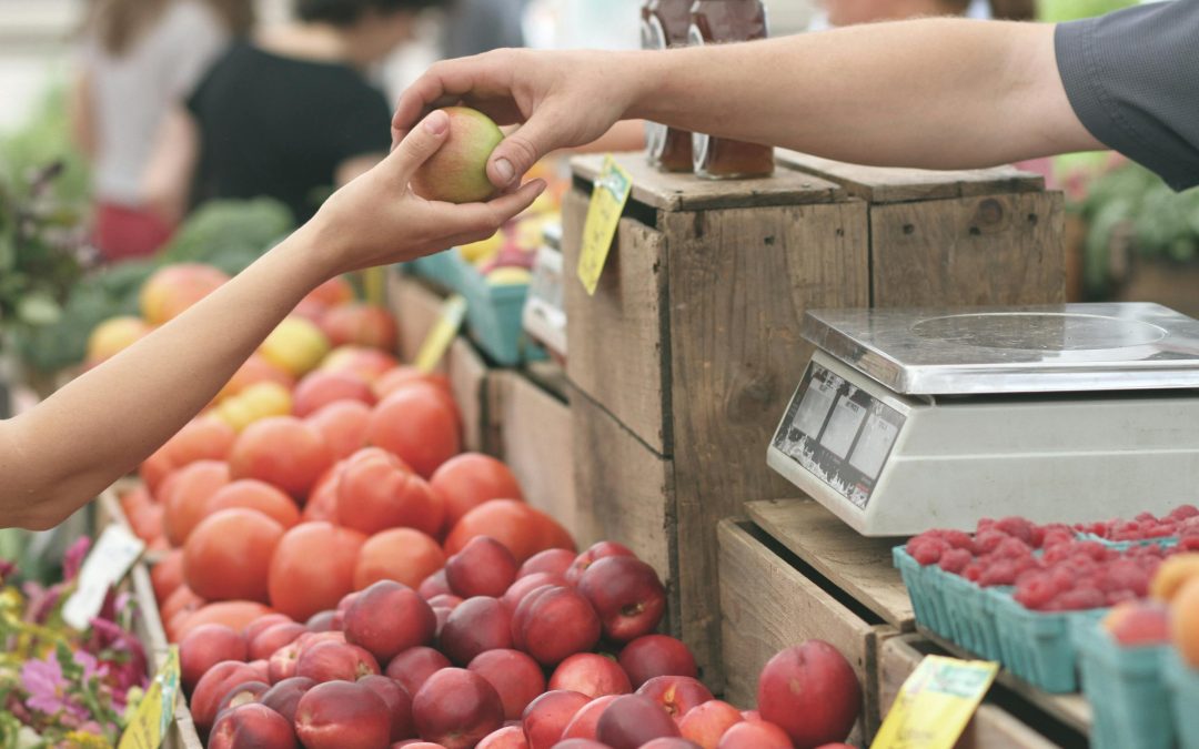 A Day at Lakewood Ranch Farmers’ Market: Fresh Finds and Fun Activities