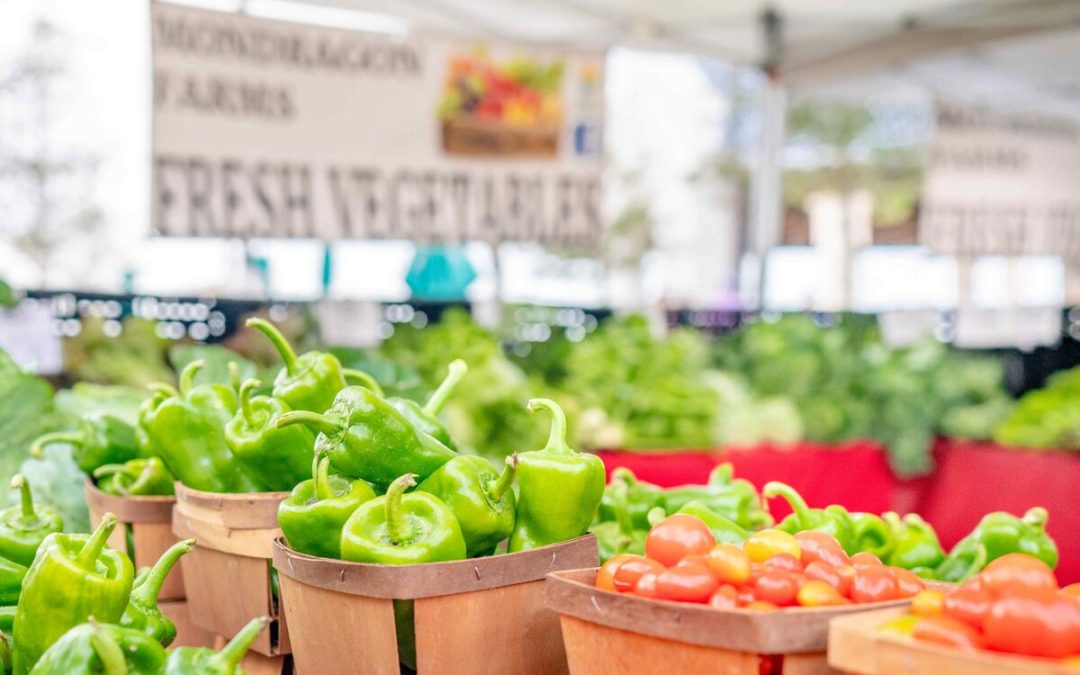 Explore Autumn Wonders at Lakewood Ranch Farmers’ Market This Season