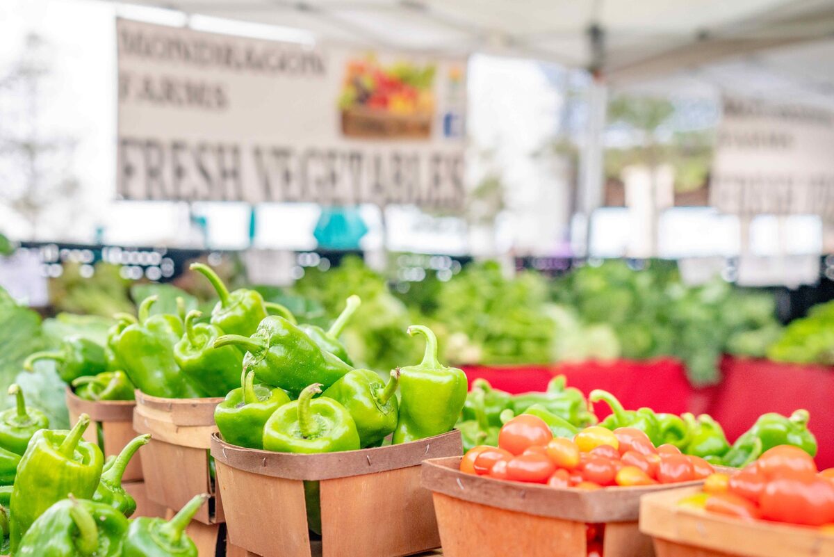 Explore Autumn Wonders at Lakewood Ranch Farmers’ Market This Season